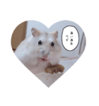 メルの毒舌シリーズ（個別スタンプ：7）