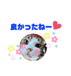 こもじろう♪♪（個別スタンプ：2）