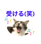 こもじろう♪♪（個別スタンプ：9）