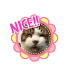 こもじろう♪♪（個別スタンプ：10）