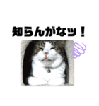こもじろう♪♪（個別スタンプ：18）