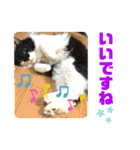 こもじろう♪♪（個別スタンプ：21）