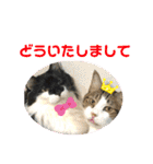 こもじろう♪♪（個別スタンプ：23）