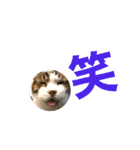 こもじろう♪♪（個別スタンプ：24）