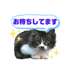 こもじろう♪♪（個別スタンプ：26）