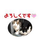 こもじろう♪♪（個別スタンプ：28）