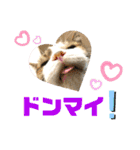 こもじろう♪♪（個別スタンプ：29）