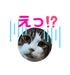 こもじろう♪♪（個別スタンプ：35）