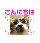 こもじろう♪♪（個別スタンプ：37）