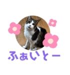 こもじろう♪♪（個別スタンプ：39）