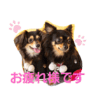 Kojiromaru＆Jubee 3（個別スタンプ：5）