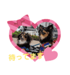 Kojiromaru＆Jubee 3（個別スタンプ：9）