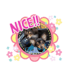 Kojiromaru＆Jubee 3（個別スタンプ：19）