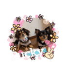 Kojiromaru＆Jubee 3（個別スタンプ：31）