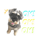 Qooちゃんスタンプップ その2（個別スタンプ：3）