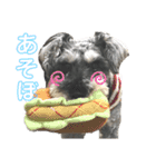 Qooちゃんスタンプップ その2（個別スタンプ：5）