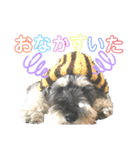 Qooちゃんスタンプップ その2（個別スタンプ：7）