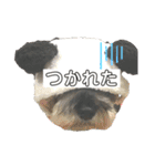 Qooちゃんスタンプップ その2（個別スタンプ：8）