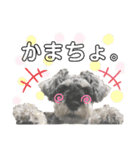Qooちゃんスタンプップ その2（個別スタンプ：9）