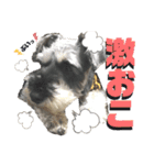 Qooちゃんスタンプップ その2（個別スタンプ：11）