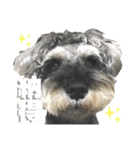 Qooちゃんスタンプップ その2（個別スタンプ：13）