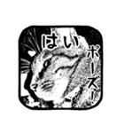 我が家の猫たち8（個別スタンプ：3）