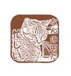 我が家の猫たち8（個別スタンプ：5）