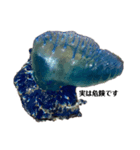 海水魚やでー（個別スタンプ：1）