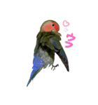 我はコザクラなインコなり2（個別スタンプ：1）