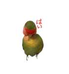 我はコザクラなインコなり2（個別スタンプ：5）