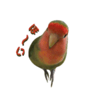 我はコザクラなインコなり2（個別スタンプ：15）