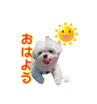 ナナちゃん、リンちゃん、ミントちゃん、（個別スタンプ：2）
