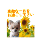 ナナちゃん、リンちゃん、ミントちゃん、（個別スタンプ：7）