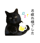 BASICりいたまん（個別スタンプ：8）