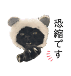 BASICりいたまん（個別スタンプ：14）