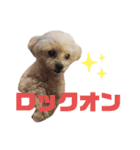 dailyうー（個別スタンプ：2）