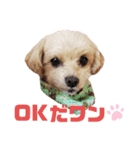 dailyうー（個別スタンプ：3）