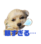 dailyうー（個別スタンプ：4）