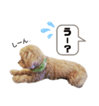 dailyうー（個別スタンプ：5）