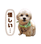 dailyうー（個別スタンプ：6）