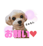 dailyうー（個別スタンプ：7）