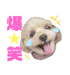 dailyうー（個別スタンプ：9）