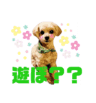 dailyうー（個別スタンプ：10）