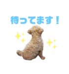 dailyうー（個別スタンプ：13）