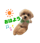 dailyうー（個別スタンプ：15）