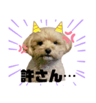 dailyうー（個別スタンプ：16）