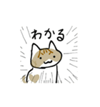 おはにゃんY 猫（個別スタンプ：2）