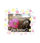 ♥pansy♥ポメラニアンの日常〜お返事編〜（個別スタンプ：17）