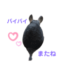 ポコのあいさつ（個別スタンプ：1）