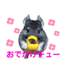 ポコのあいさつ（個別スタンプ：3）